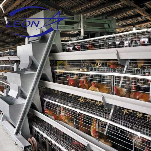 A Type Cages For Layer Chicken Farm