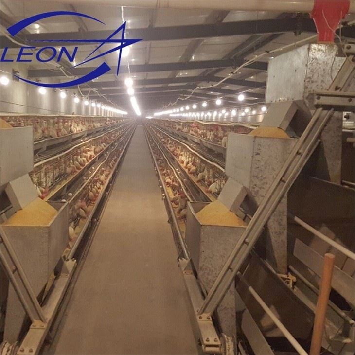 Broiler Cage Chicken Broiler Cage Chicken