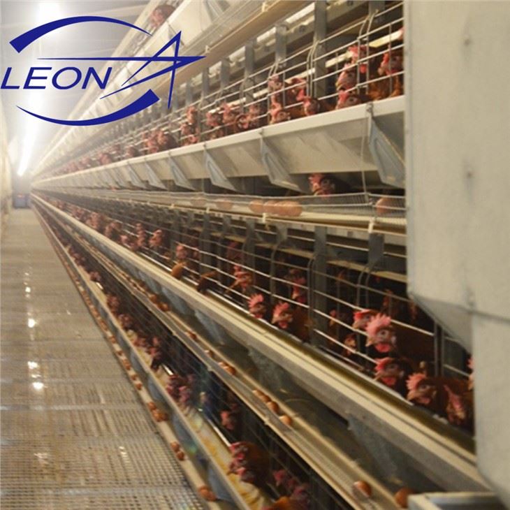 Sistem Pemasangan Lapisan Jenis Kandang Ayam Yang Mudah Dipasang
