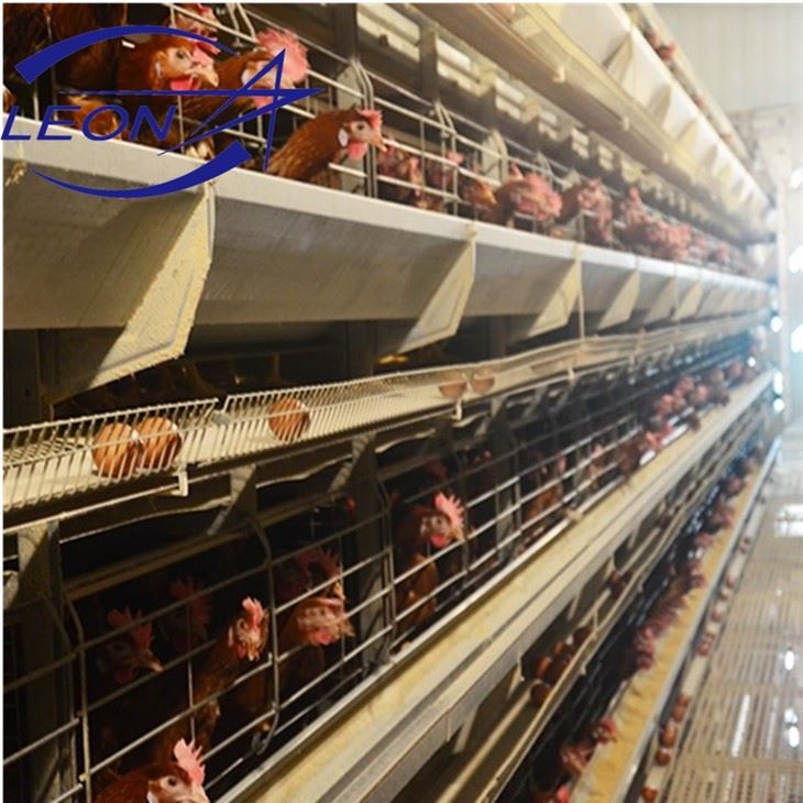 Easy To Install Chicken Cage H Type Layers House System