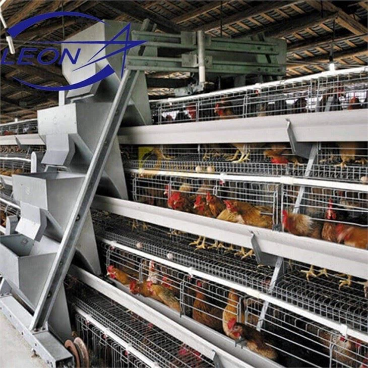 Hot Sale Poultry Farm Laying Hens Used Layer Battery Chicken Cage Hot Sale Poultry Farm Laying Hens Used Layer Battery Chicken Cage