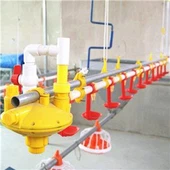 Talian Minum Puting Ayam Automatik