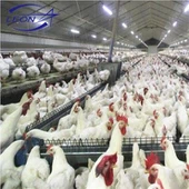 Peralatan Ladang Ayam Penternak