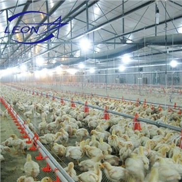 Sistem Lantai Broiler
