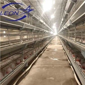Sangkar Ayam Jenis H Untuk Rumah Ayam Daging