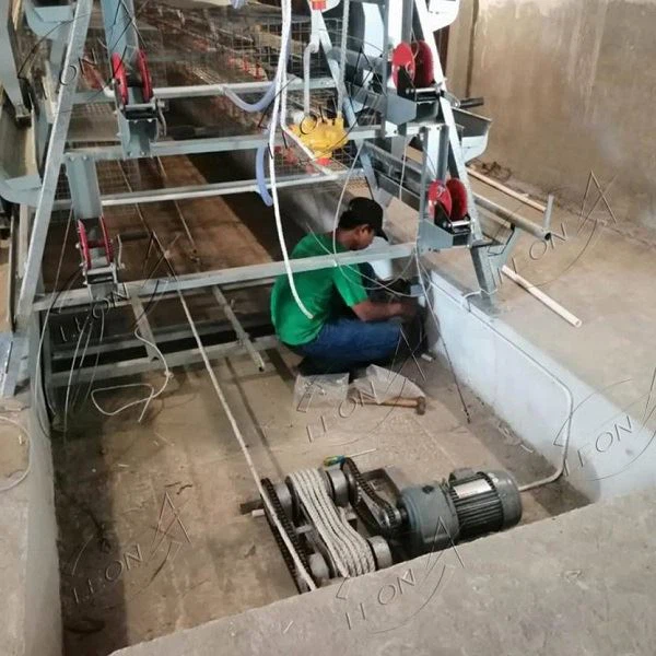 The Latest A Type Layer Breeding Equipment