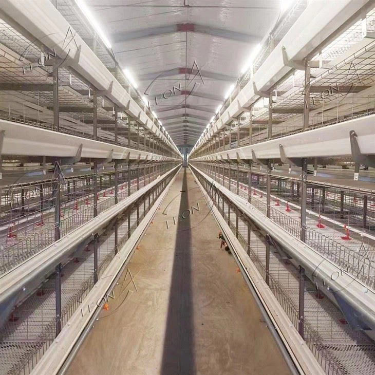 Broiler Cage Raising System