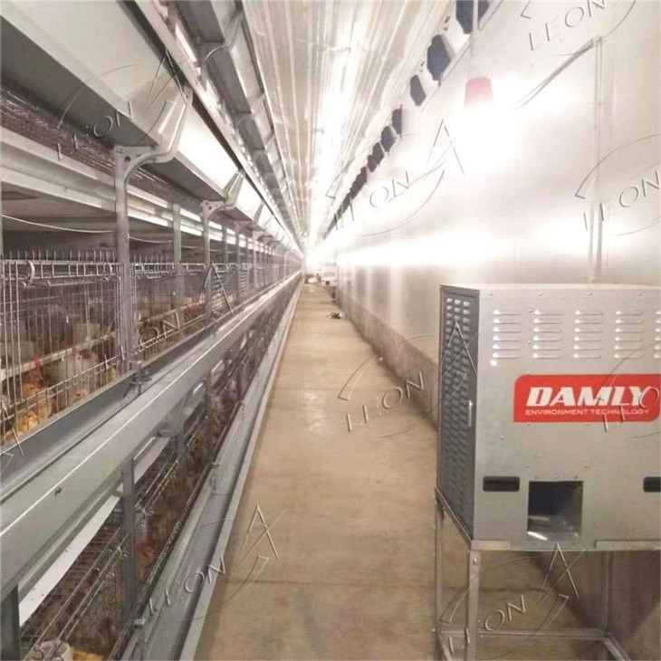 Gas Brooder And Heater