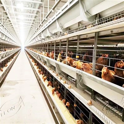 Sangkar Ayam Lapis Jenis H China
